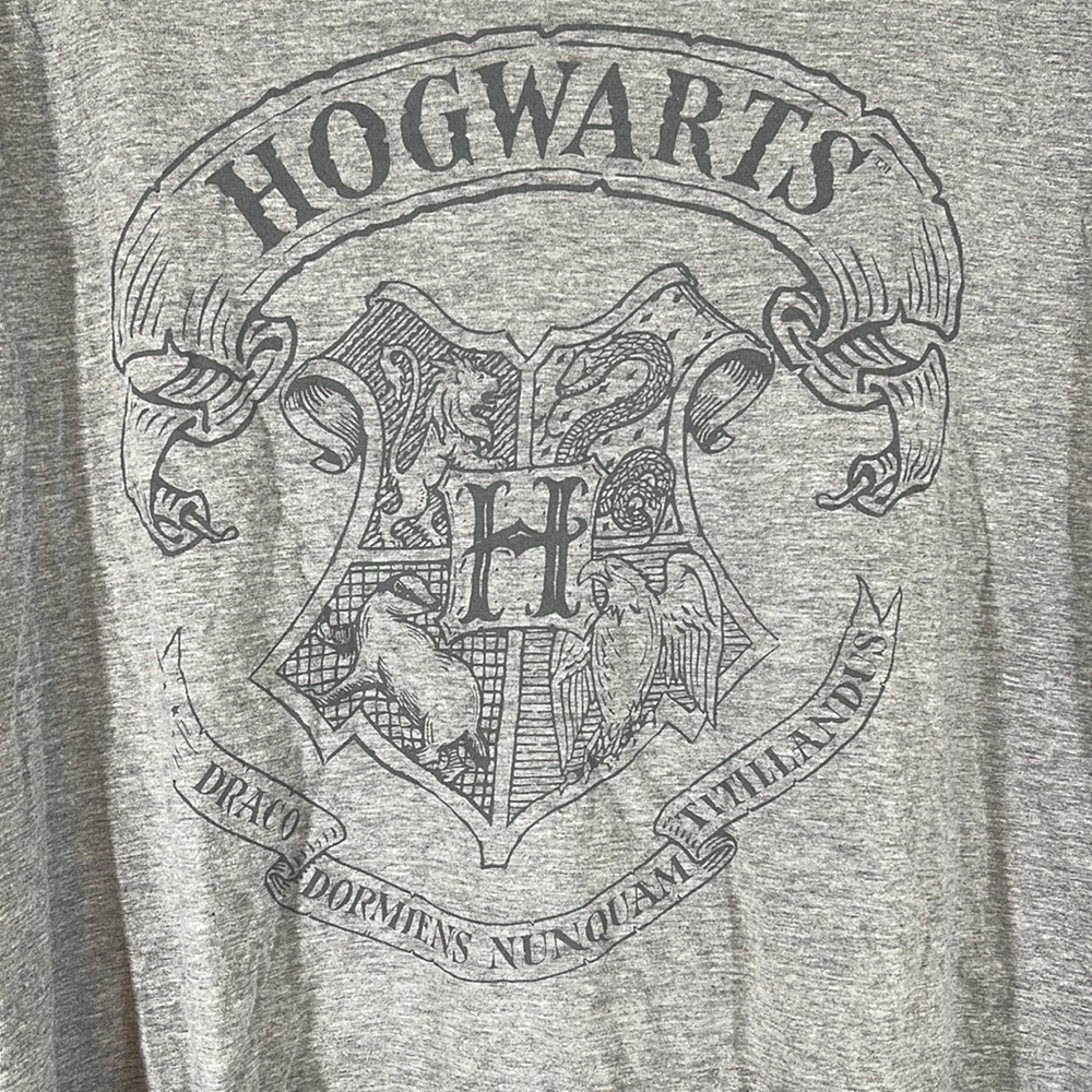 Harry Potter Hogwarts Short Sleeve Graphic T-Shirt Size XXL - Picture 3 of 7